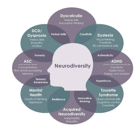 Neurodiverse Student Lunchtime Club! - Kirrawee High School